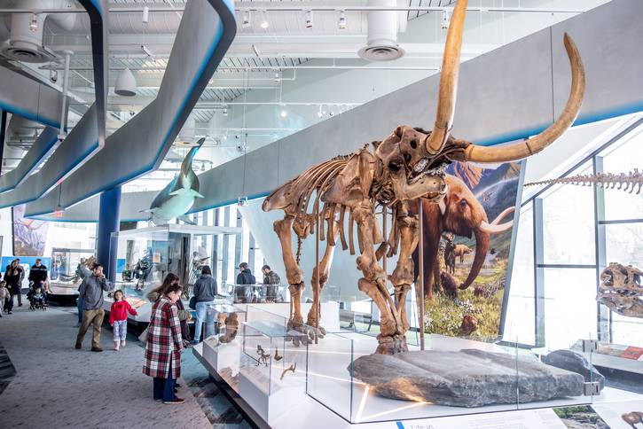 Celebrating Martin Luther King Jr. at the Cleveland Museum Natural History.